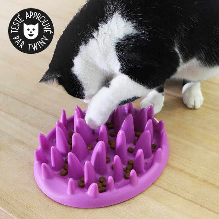 Gamelle Chat Double Bol Kissral - Anti-glouton Et Inox, Surélevée Antidérapante - Pour Chat Et Chien, Facile à Nettoyer