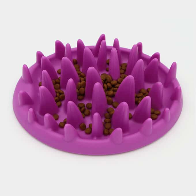 gamelle anti-glouton chat plateau rigide