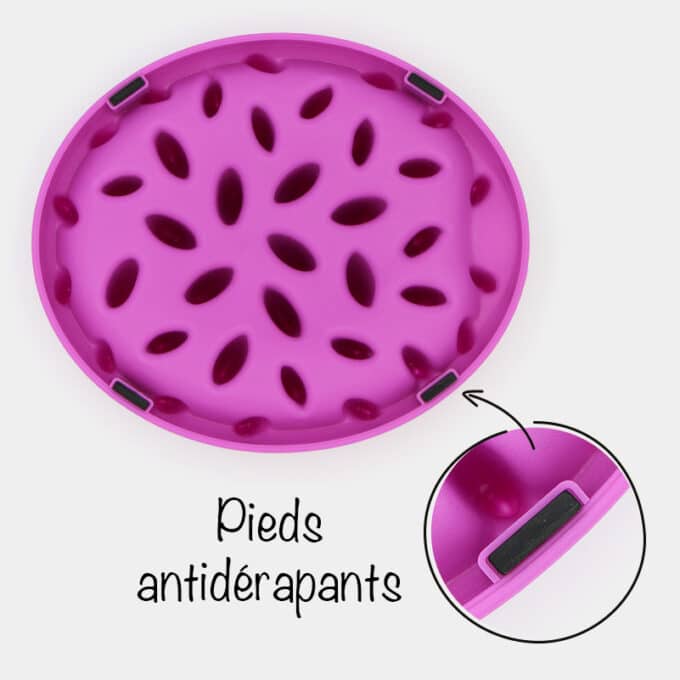 gamelle anti-glouton chat plateau rigide