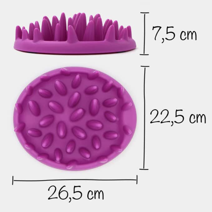 gamelle anti-glouton chat plateau rigide
