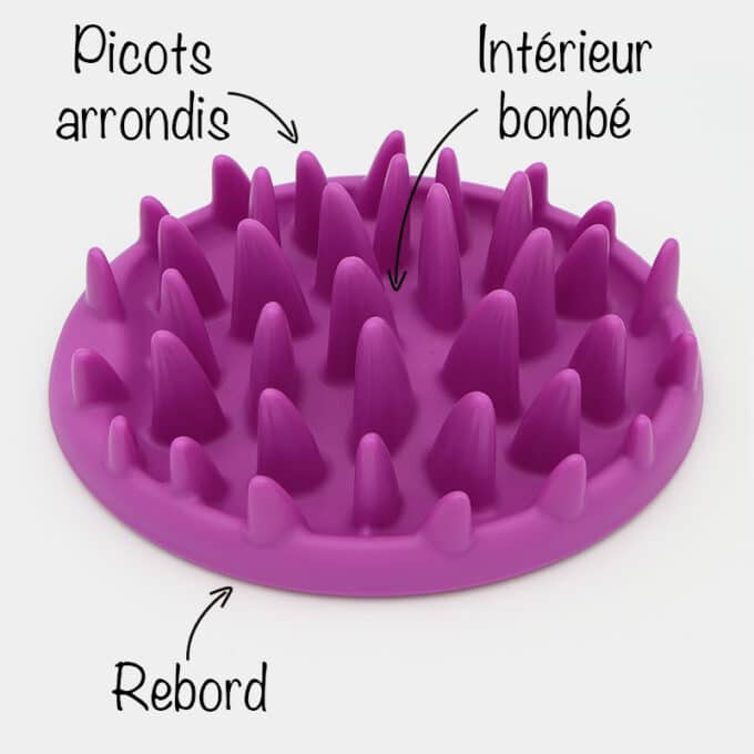 gamelle anti-glouton chat plateau rigide