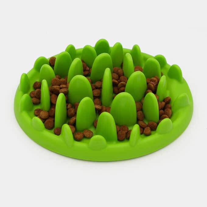 gamelle-plateau-antiglouton-rigide-croquettes-manger-lentement-chien-2 gamelle anti-glouton chien plateau rigide