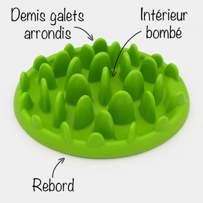 gamelle-plateau-antiglouton-rigide-croquettes-manger-lentement-chien-7 gamelle anti-glouton chien plateau rigide
