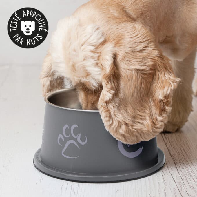 alimentation-gamelle-ecuelle-chien-longue-oreille-trixie-15 Gamelle pour chien à longues oreilles surélevée Trixie