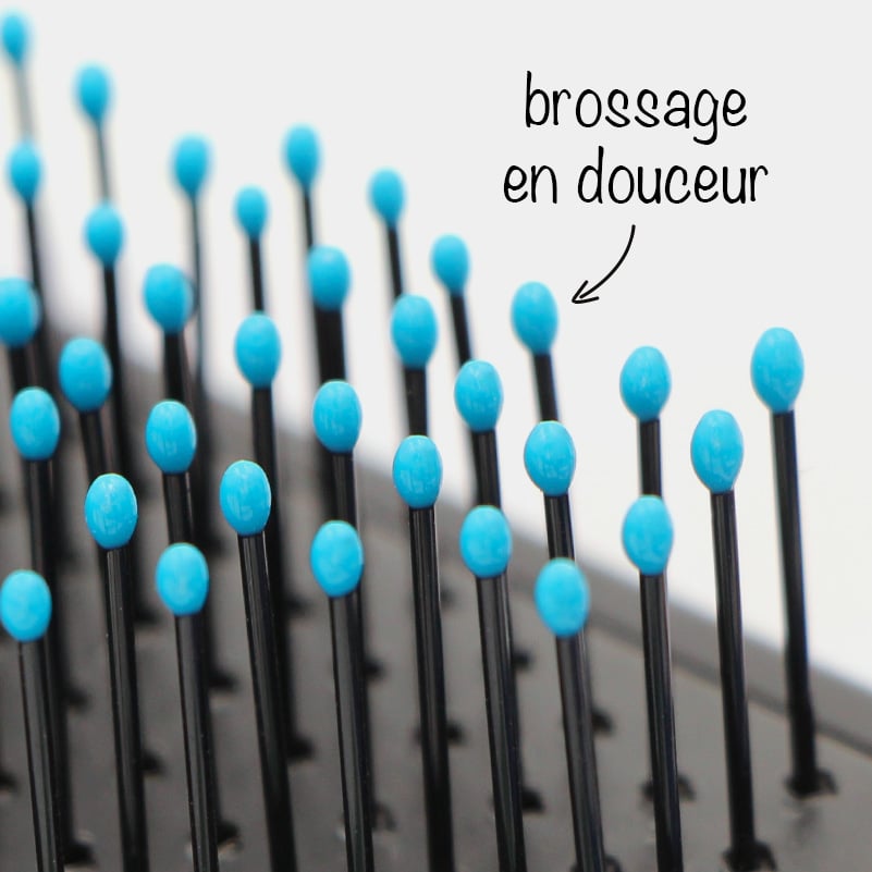 Peigne - déméloir,râteau à peigne professionnel 2 en 1 pour chien,brosse de  toilettage confortable à Double face pour - Bleu -L