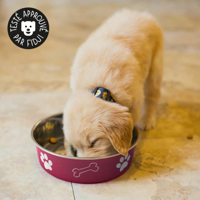 gamelle-alimentation-acier-inoxydable-chien-trixie-6 Gamelle pour chien en acier inoxydable Trixie anti-dérapante