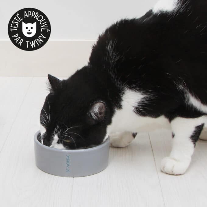 Gamelle en céramique pour chat Trixie