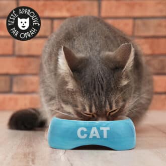 Gamelle céramique pour chat bleue