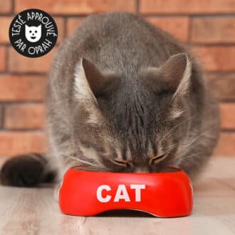 Gamelle en céramique pour chat