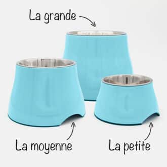 Gamelle surélevée pour chien à longues oreilles et souffrant d'arthrose