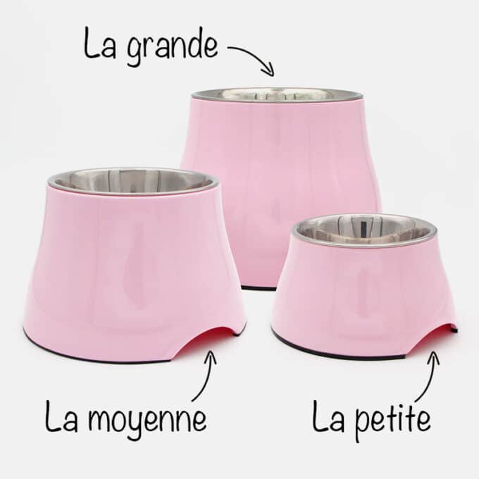 gamelle-chien-surelevee-longue-oreille-35 Gamelle surélevée pour chien à longues oreilles et souffrant d'arthrose