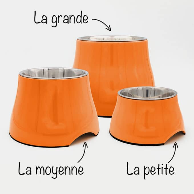 gamelle-chien-surelevee-longue-oreille-38 Gamelle surélevée pour chien à longues oreilles et souffrant d'arthrose