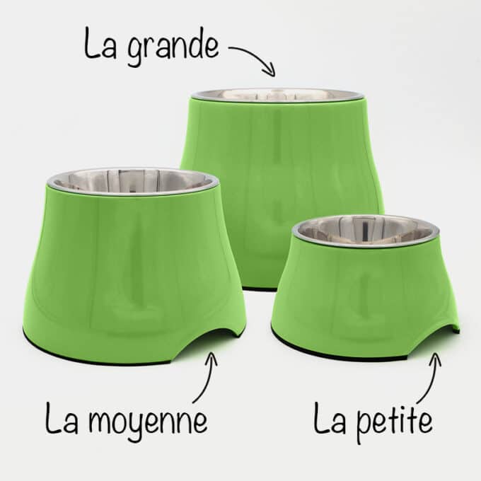 gamelle-chien-surelevee-longue-oreille-39 Gamelle surélevée pour chien à longues oreilles et souffrant d'arthrose