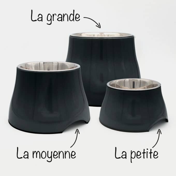 gamelle-chien-surelevee-longue-oreille-44 Gamelle surélevée pour chien à longues oreilles et souffrant d'arthrose