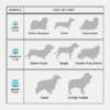 gamelle-chien-surelevee-longue-oreille-taille-race Taille de la gamelle surélevée pour chien à longues oreilles et souffrant d'arthrose