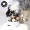 Gamelle pour chien en mélanine