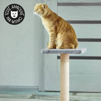 Arbre à chat griffoir Trixie Espejo pour chat qui aime faire ses griffes