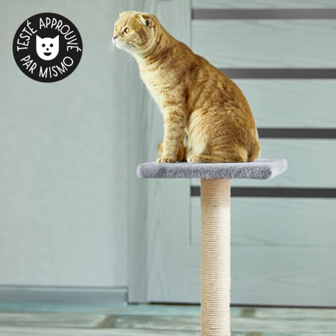 griffoir-arbre-griffer-griffes-chat-trixie-espejo-7 Arbre à chat griffoir Trixie Espejo pour chat qui aime faire ses griffes