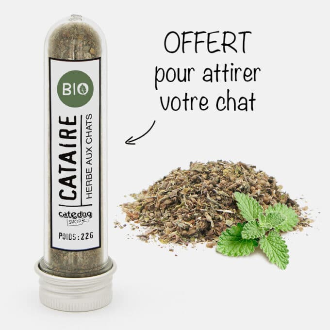 griffoir-arbre-griffer-griffes-chat-trixie-parla-9 Griffoir Trixie Parla haut pour chat qui aime faire ses griffes