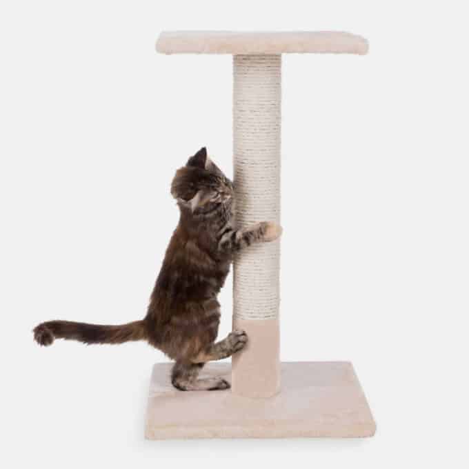 griffoir-arbre-haut-chat-griffer-trixie-espejo-4 Arbre à chat griffoir haut Trixie Espejo pour chat qui aime faire ses griffes