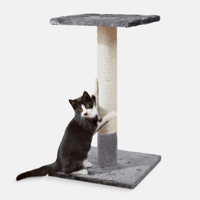 griffoir-arbre-haut-chat-griffer-trixie-espejo Arbre à chat griffoir haut Trixie Espejo pour chat qui aime faire ses griffes