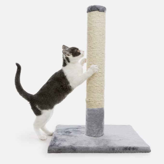 griffoir-arbre-haut-griffer-chat-trixie-parla-3 Griffoir Trixie Parla haut pour chat qui aime faire ses griffes