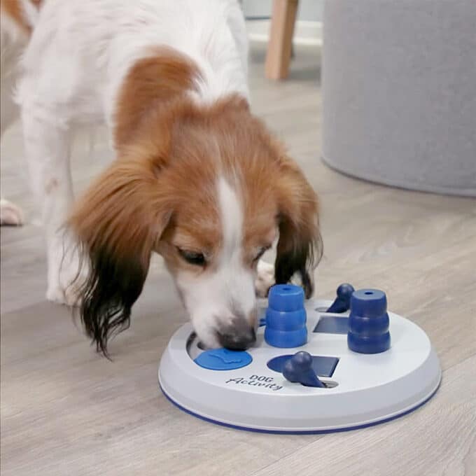 jouet-alimentaire-jeu-strategie-dog-activity-trixie-chien-10 jouet alimentaire interactif de stratégie et d'intelligence Dog Activity Trixie pour le chien