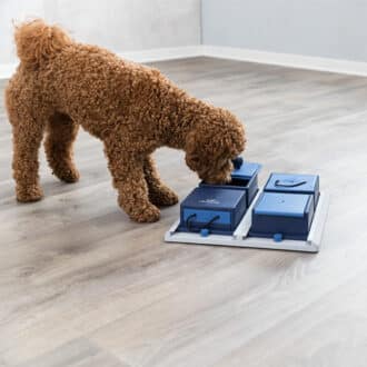 jouet alimentaire interactif de stratégie et d'intelligence Dog Activity Trixie pour le chien