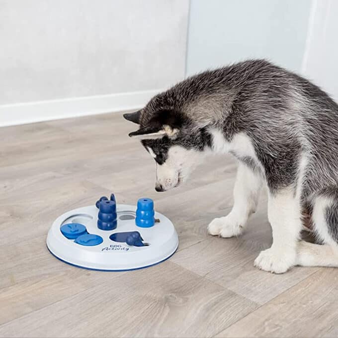 jouet-alimentaire-jeu-strategie-dog-activity-trixie-chien-9 jouet alimentaire interactif de stratégie et d'intelligence Dog Activity Trixie pour le chien