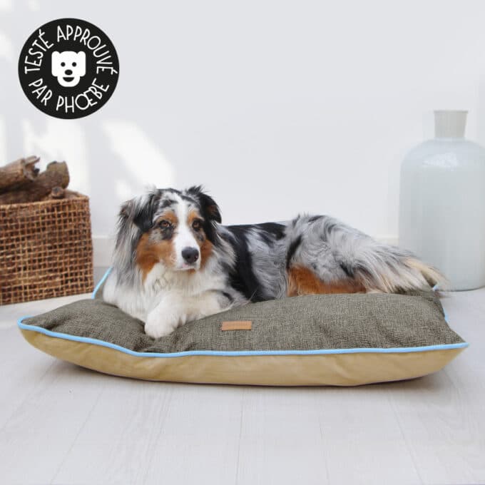 Coussin panier pour chien déhoussable