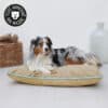 coussin-panier-lit-moelleux-dehoussable-confortable-lin-doux-chien Coussin panier pour chien déhoussable