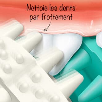 Balle dentaire avec picots pour nettoyer les dents du chien