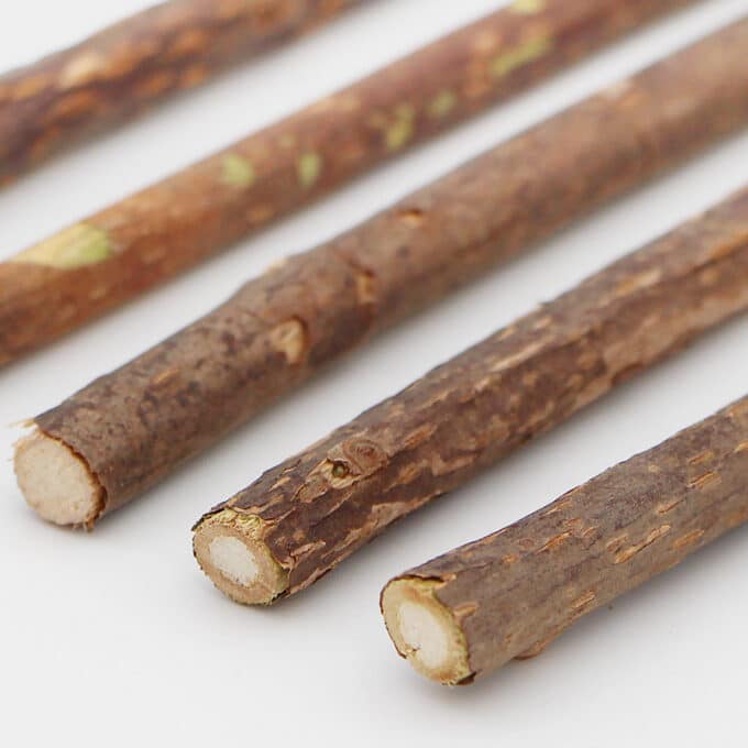 baton-a-macher-chat-matatabi-2 Bâton de matatabi à mâcher pour chat