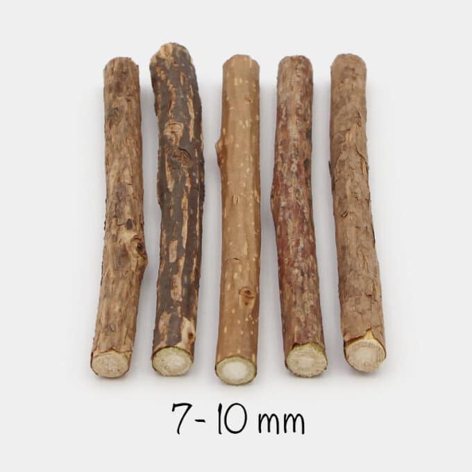 baton-stick-matatabi-chat Bâton ou stick de matatabi pour chat à mâcher