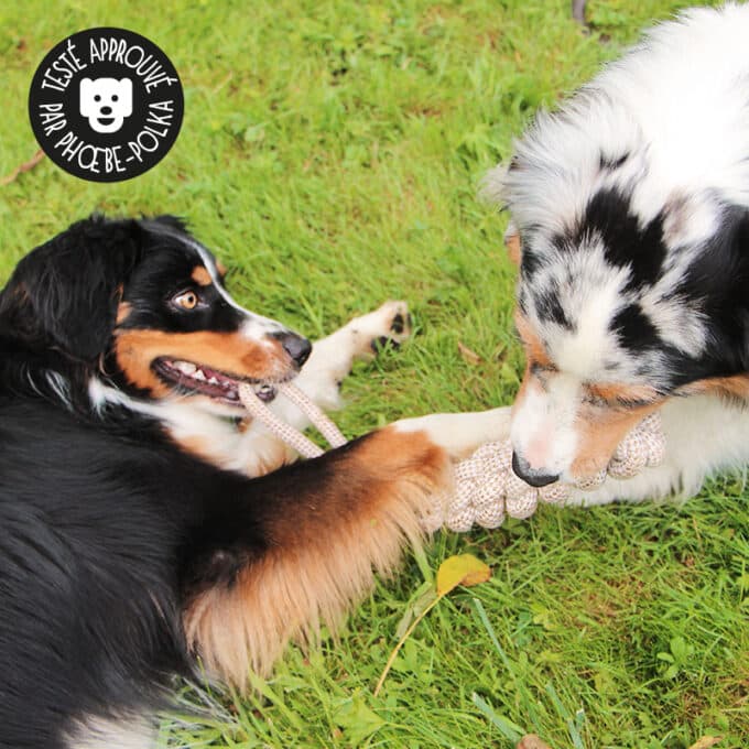 jouet-jeu-balle-corde-noeud-macher-gros-chien-12 Jouet en corde pour gros chien avec nœuds à mâcher