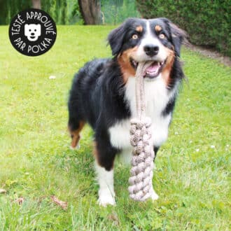 Jouet en corde pour gros chien avec nœuds à mâcher