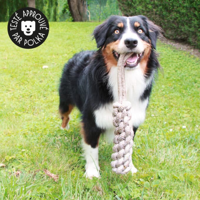 jouet-jeu-balle-corde-noeud-macher-gros-chien-13 Jouet en corde pour gros chien avec nœuds à mâcher