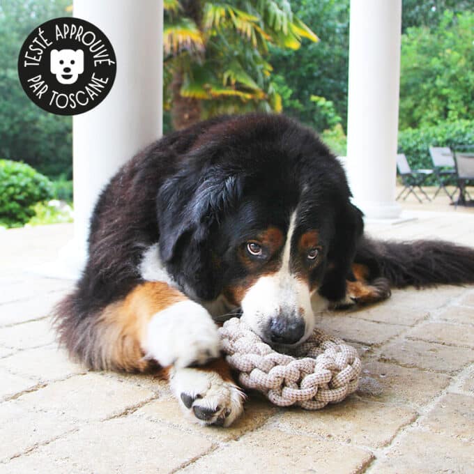 Jouet en corde pour gros chien avec nœuds à mâcher