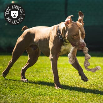 Jouet en corde pour gros chien avec nœuds à mâcher