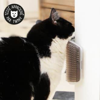 Brosse murale d'angle auto-toilettage pour le chat