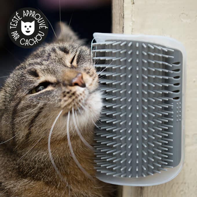 brosse-murale-angle-auto-toilettage-chat-11 Brosse murale pour chat auto-toilettage
