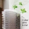 brosse-murale-angle-auto-toilettage-chat-16 Brosse murale auto toilettage pour chat avec herbe à chat cataire
