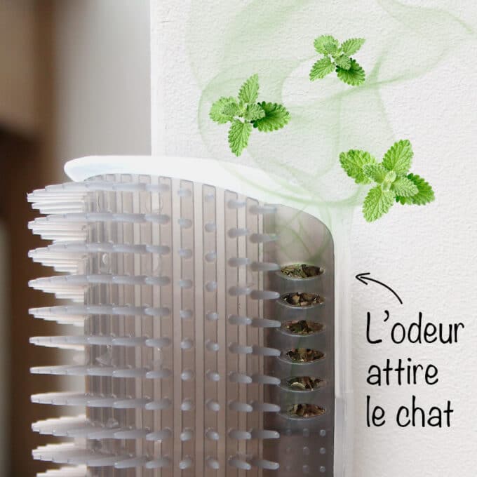 brosse-murale-angle-auto-toilettage-chat-16 Brosse murale auto toilettage pour chat avec herbe à chat cataire