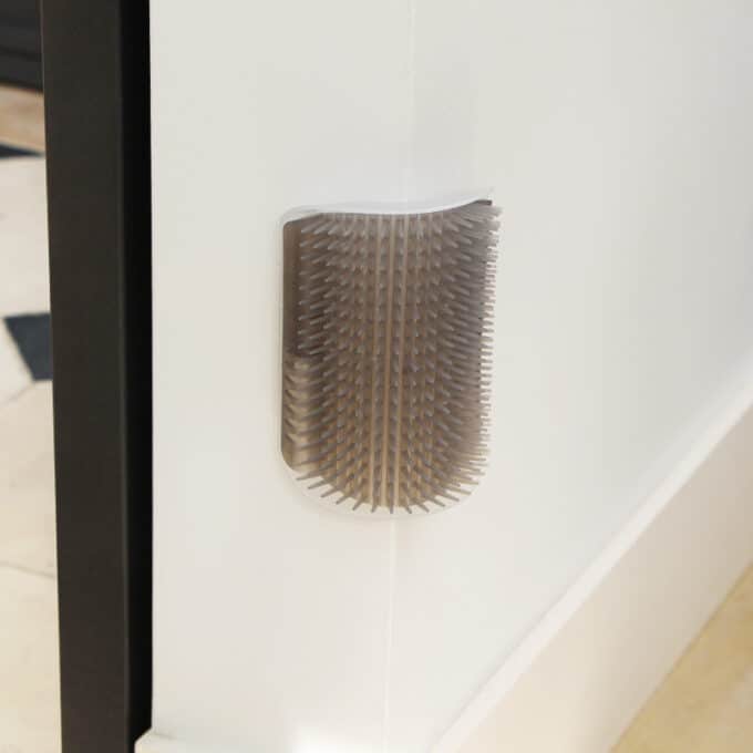 brosse-murale-angle-auto-toilettage-chat-2 Brosse murale d'angle auto-toilettage pour le chat