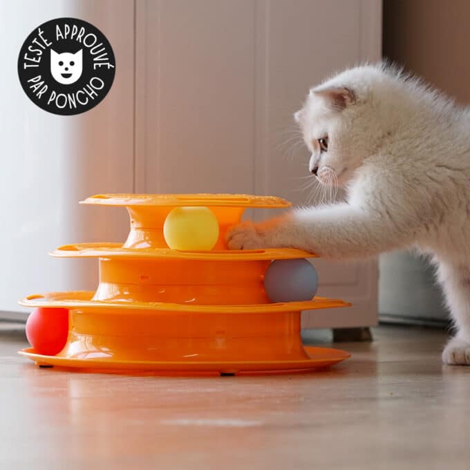 jouet-interactif-chat-tour-labyrinthe-balle-tourne-appartement-10 Jouet circuit tourne balle pour chat