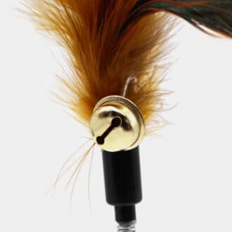 Jouet plumeau avec grelot fixé au bout d'un ressort pour le chat