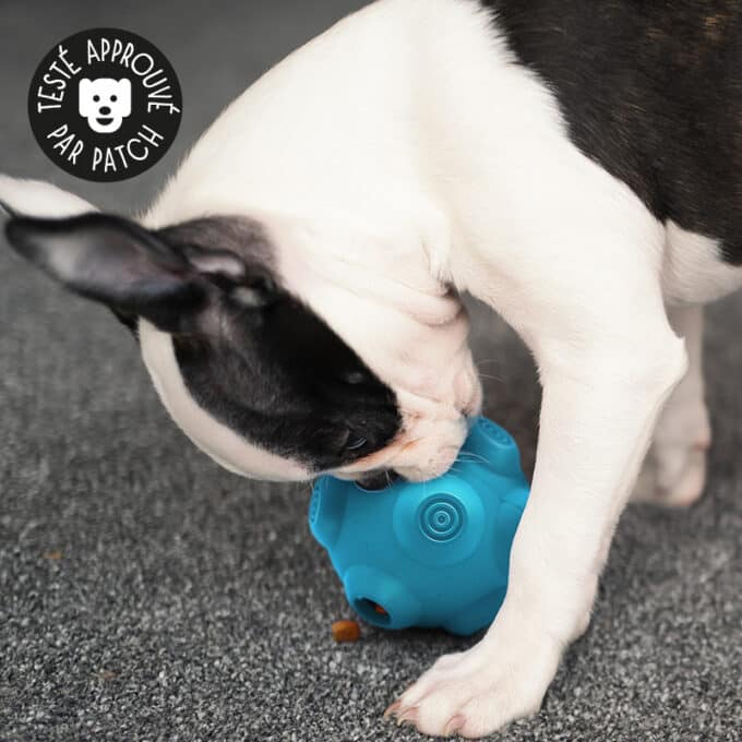 balle-anti-glouton-chien-distributrice-croquettes-13 Balle distributrice de croquettes pour chien