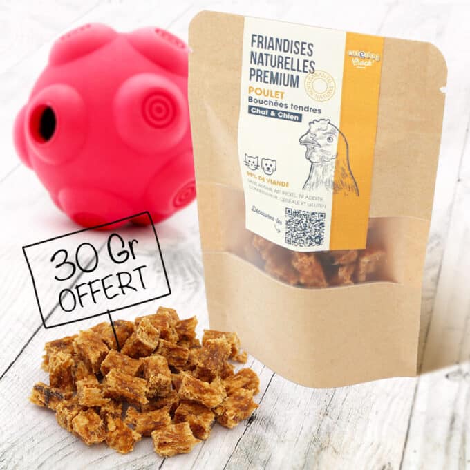 balle-anti-glouton-chien-distributrice-croquettes-14 Balle anti-glouton pour chien distributrice de croquettes