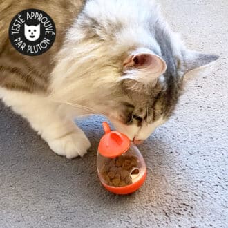 Balle souris distributrice de croquettes pour chat