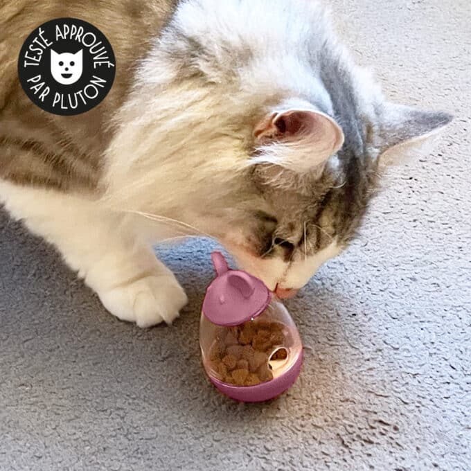 balle-distributrice-croquette-friandise-chat-19 Jouet distributeur de croquettes culbuto pour chat